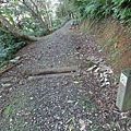 鯉魚山步道 (141).JPG