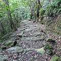 鯉魚山步道 (142).JPG