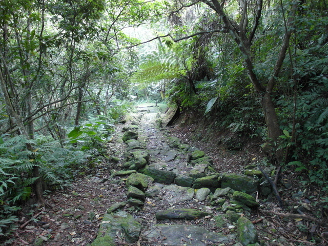 鯉魚山步道 (145).JPG