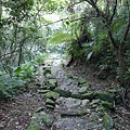 鯉魚山步道 (145).JPG