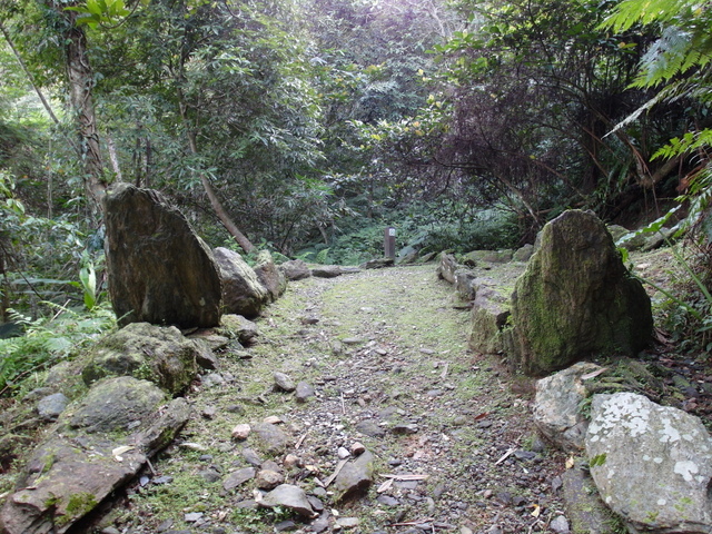 鯉魚山步道 (148).JPG