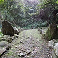 鯉魚山步道 (148).JPG