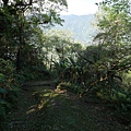 鯉魚山步道 (154).JPG