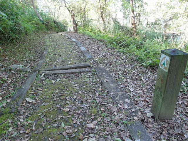 鯉魚山步道 (157).JPG