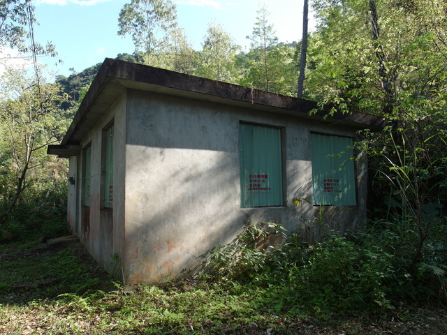 鯉魚山步道 (159).JPG