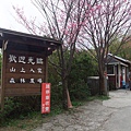 鵝公髻山 (37).JPG