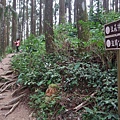 鵝公髻山 (61).JPG