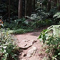 鵝公髻山 (63).JPG