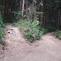 鵝公髻山 (70).JPG