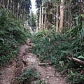 鵝公髻山 (73).JPG