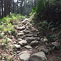 鵝公髻山 (78).JPG