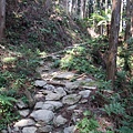 鵝公髻山 (81).JPG