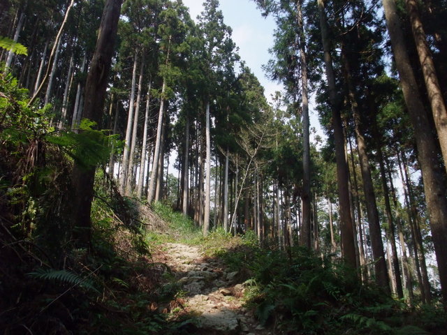 鵝公髻山 (83).JPG