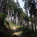 鵝公髻山 (83).JPG