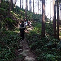 鵝公髻山 (88).JPG