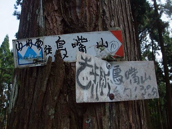 鵝公髻山 (93).JPG