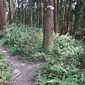 鵝公髻山 (95).JPG