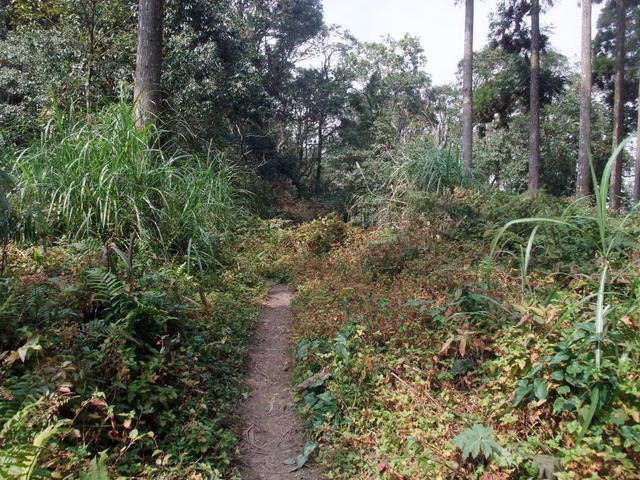 鵝公髻山 (96).JPG