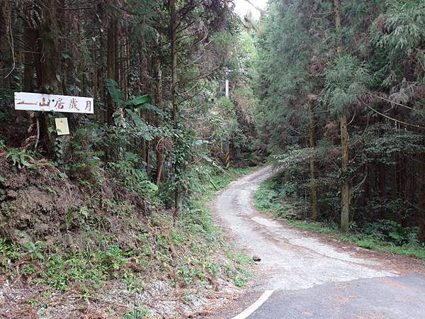 新竹縣 五峰鄉 五指山 (80).JPG