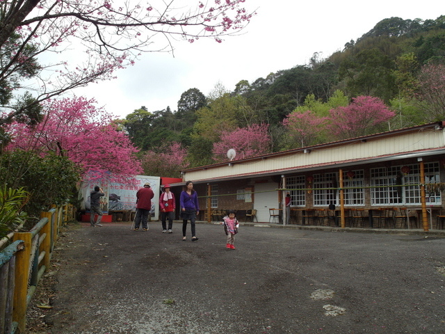 新竹縣 五峰鄉 五指山 (100).JPG