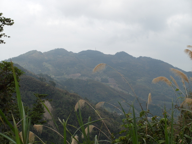 新竹縣 五峰鄉 五指山 (114).JPG