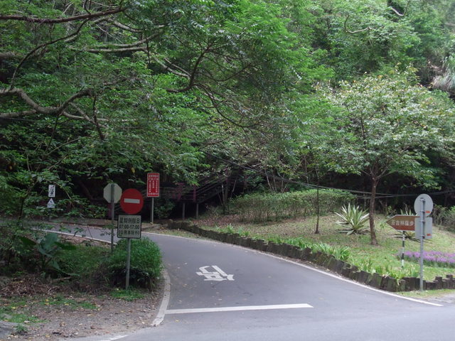 桃園縣 大溪鎮 總督府步道 (2).JPG