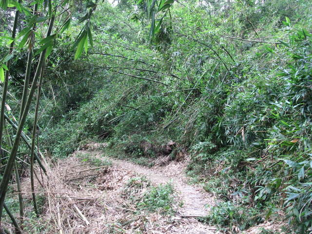 桃園縣 大溪鎮 總督府步道 (13).JPG