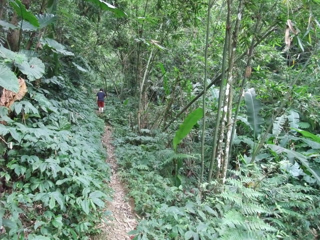 桃園縣 大溪鎮 總督府步道 (15).JPG