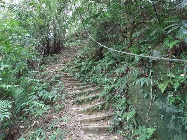 桃園縣 大溪鎮 總督府步道 (18).JPG