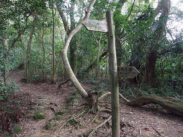 桃園縣 大溪鎮 總督府步道 (20).JPG