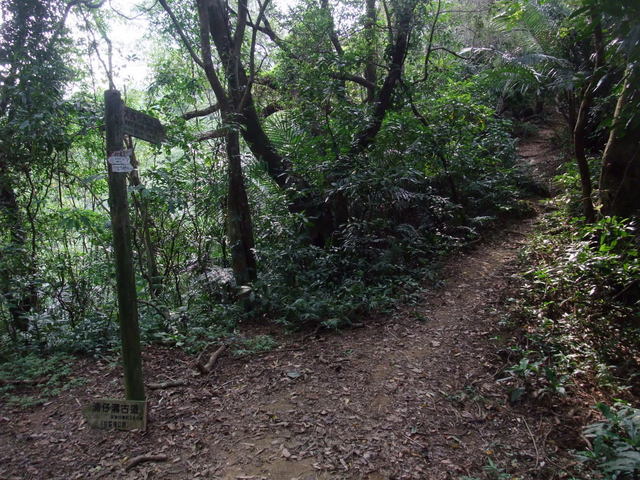 桃園縣 大溪鎮 總督府步道 (24).JPG