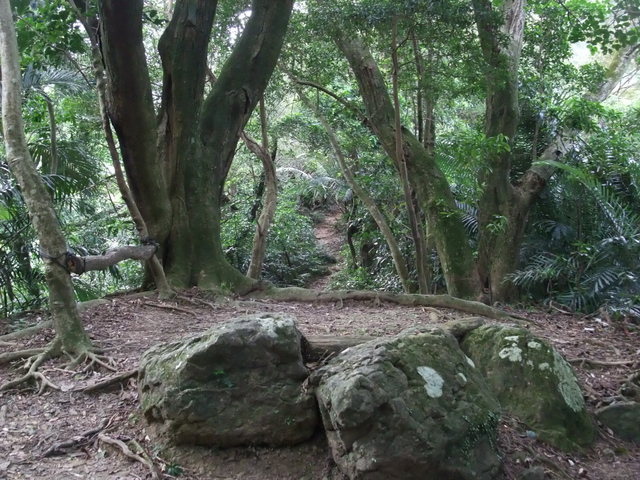 桃園縣 大溪鎮 總督府步道 (23).JPG