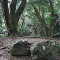 桃園縣 大溪鎮 總督府步道 (23).JPG