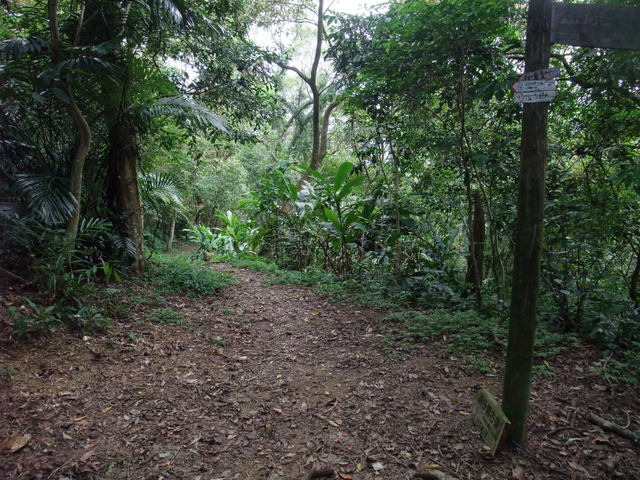 桃園縣 大溪鎮 總督府步道 (25).JPG