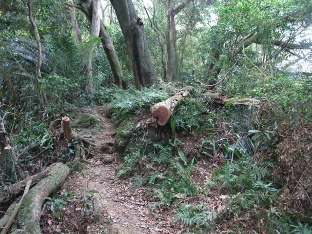 桃園縣 大溪鎮 總督府步道 (29).JPG