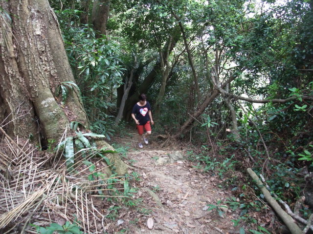 桃園縣 大溪鎮 總督府步道 (30).JPG