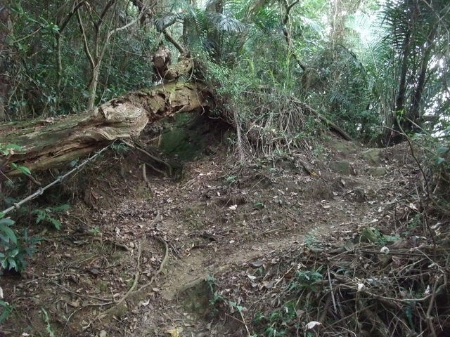 桃園縣 大溪鎮 總督府步道 (40).JPG