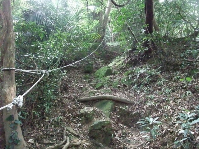 桃園縣 大溪鎮 總督府步道 (39).JPG