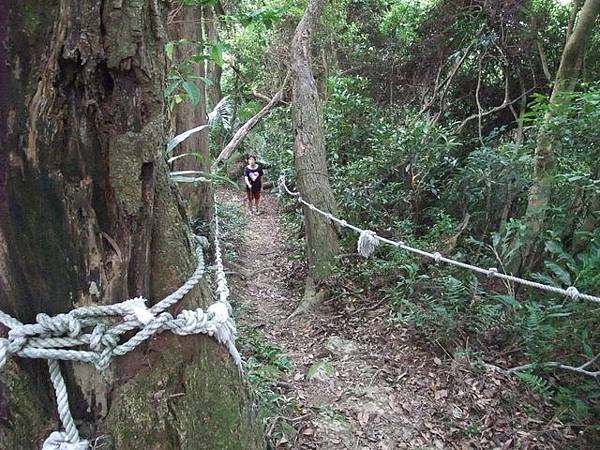 桃園縣 大溪鎮 總督府步道 (41).JPG