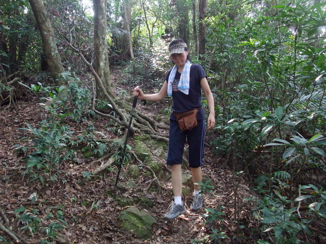 桃園縣 大溪鎮 總督府步道 (42).JPG