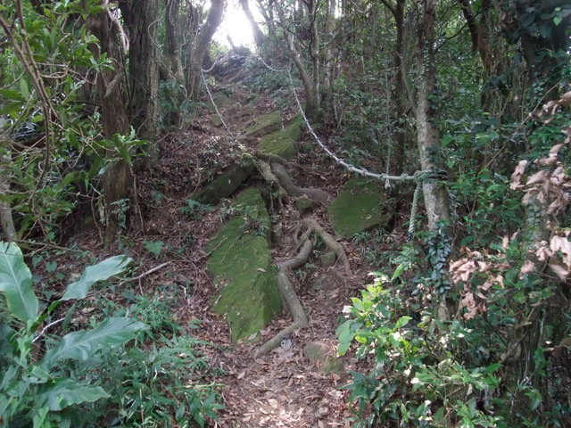 桃園縣 大溪鎮 總督府步道 (44).JPG