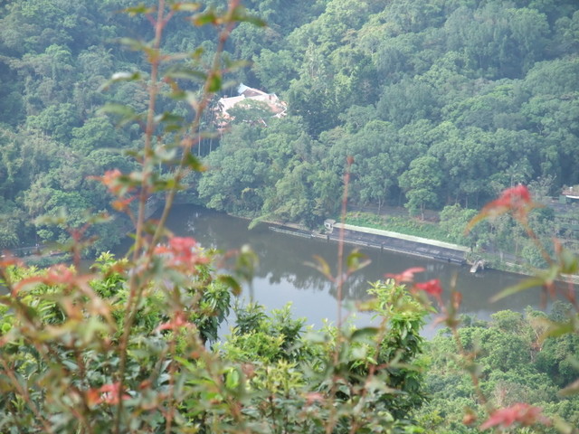 桃園縣 大溪鎮 總督府步道 (59).JPG