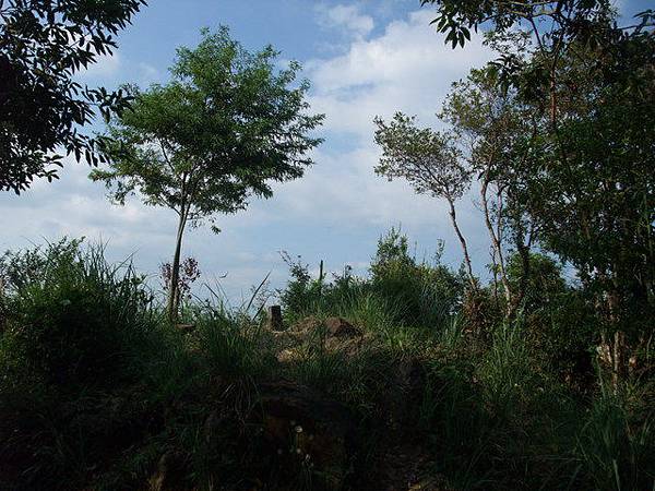 桃園縣 大溪鎮 總督府步道 (72).JPG