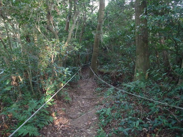 桃園縣 大溪鎮 總督府步道 (83).JPG