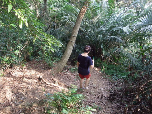 桃園縣 大溪鎮 總督府步道 (89).JPG