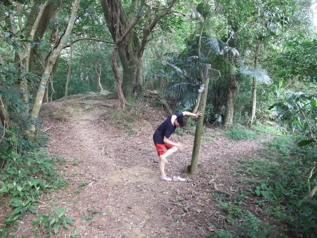 桃園縣 大溪鎮 總督府步道 (91).JPG