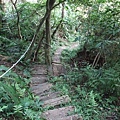桃園縣 大溪鎮 總督府步道 (100).JPG