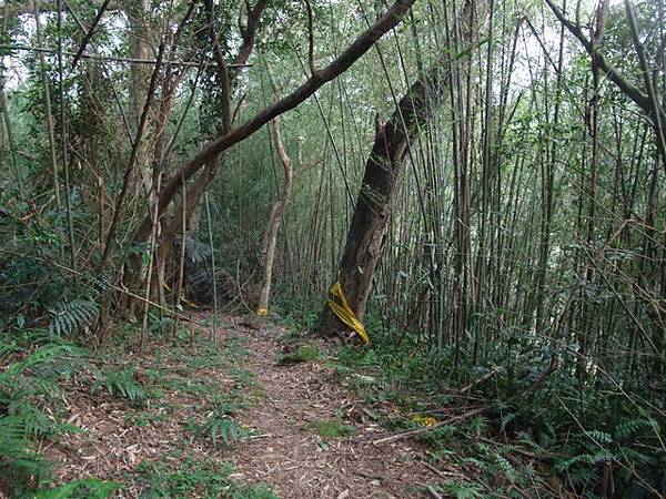 桃園縣 大溪鎮 總督府步道 (102).JPG