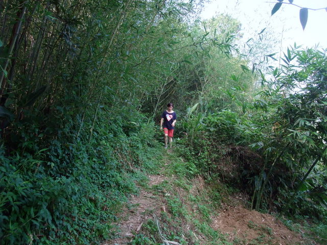 桃園縣 大溪鎮 總督府步道 (108).JPG