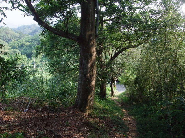 桃園縣 大溪鎮 總督府步道 (109).JPG